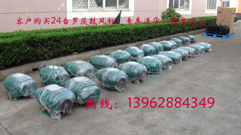 3L80羅茨鼓風(fēng)機(jī)殼體